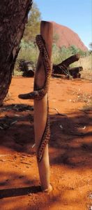 Desert Snake by Doris Teamay